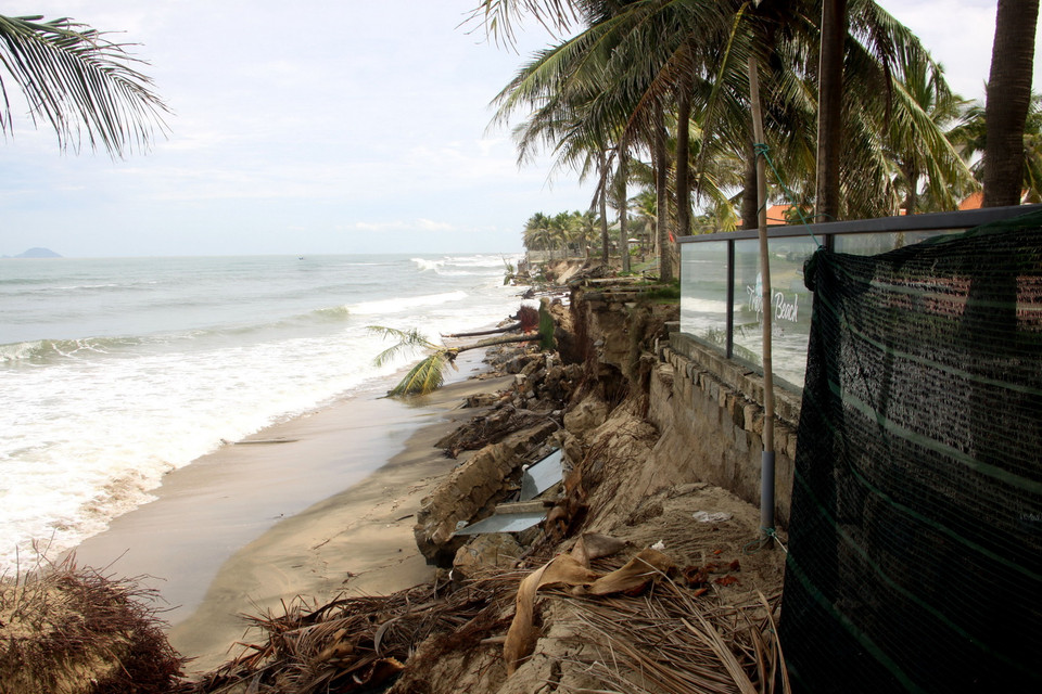 (Ảnh: Trịnh Bang Nhiệm/TTXVN)