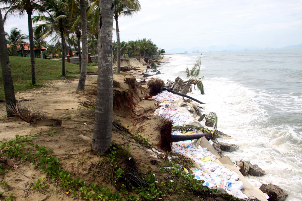 Bãi tắm Cửa Đại nhiều đoạn bị xâm thực nghiêm trọng. (Ảnh: Trịnh Bang Nhiệm/TTXVN)
