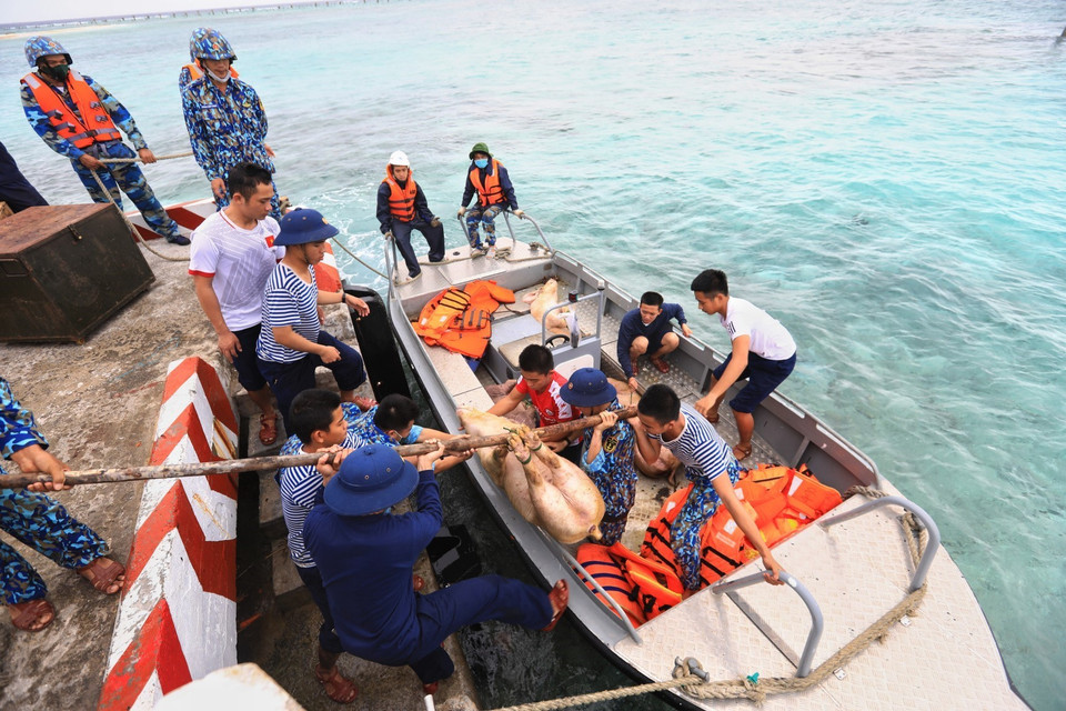 Những chuyến tàu chở nhu yếu phẩm từ đất liền gửi đến quân, dân đảo Sinh Tồn Đông. (Ảnh: Thành Đạt/TTXVN)