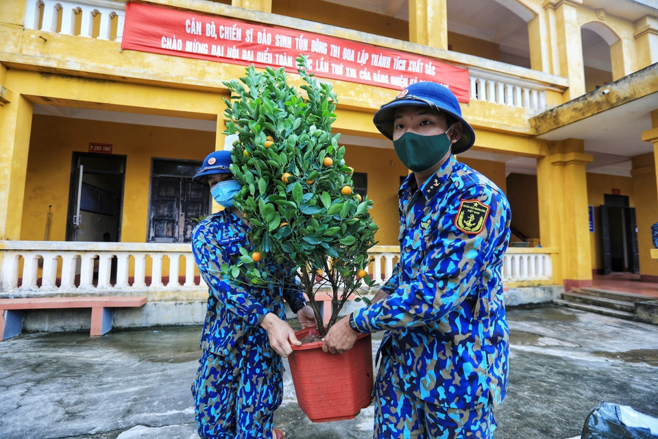 Những chậu quất mang đậm không khí Tết vượt qua bao sóng gió đến với quân, dân đảo Sinh Tồn Đông. (Ảnh: Thành Đạt/TTXVN)