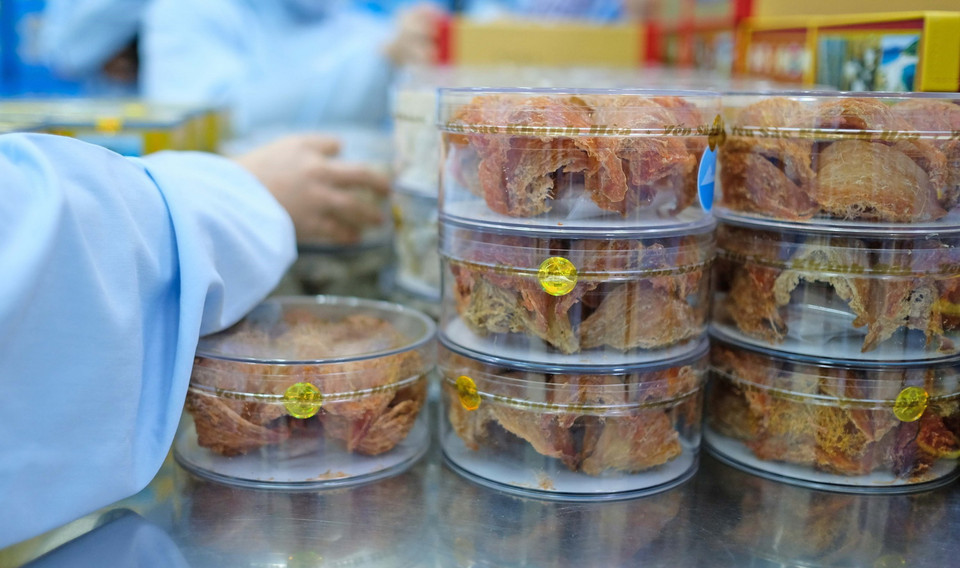 Sản phẩm Yến huyết quý hiếm và giá trị cao của Công ty TNHH Nhà nước Một thành viên Yến Sào Khánh Hòa. (Ảnh: Nguyễn Dũng/TTXVN)