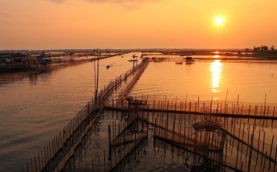  (Ảnh: Hồ Cầu/TTXVN)