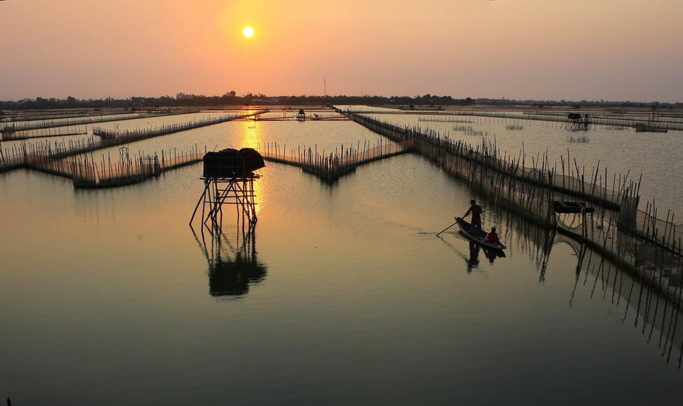 Hoàng hôn trên Đầm Chuồn. (Ảnh: Hồ Cầu/TTXVN)