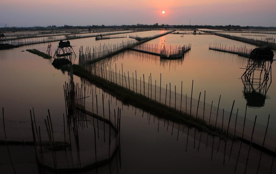 Hoàng hôn trên Đầm Chuồn. (Ảnh: Hồ Cầu/TTXVN)