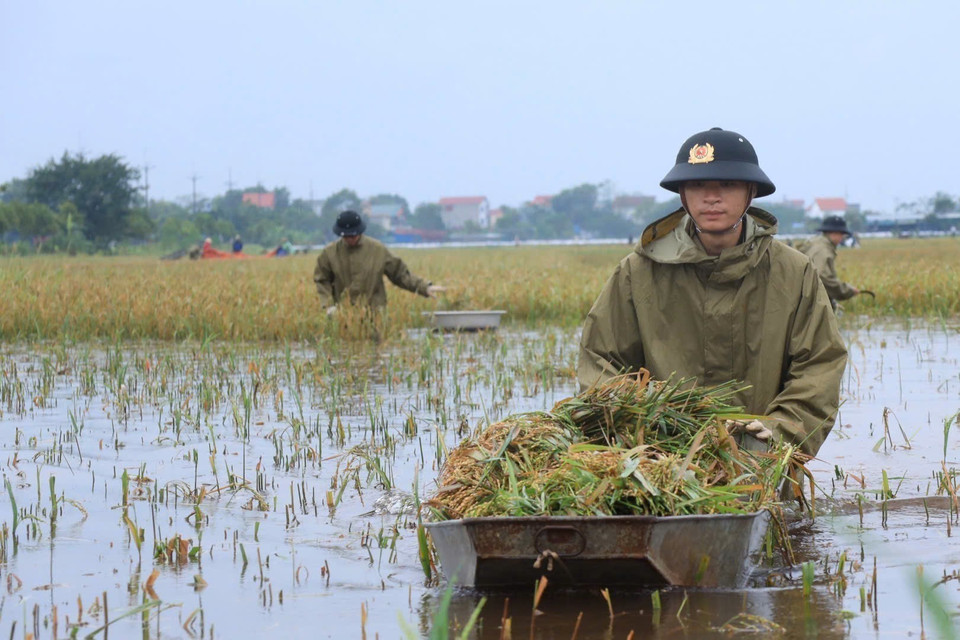 Trong đợt mưa bão vừa qua, một số thôn, xã trên địa bàn huyện Chương Mỹ (Hà Nội) bị ngập sâu, ảnh hưởng không nhỏ tới đời sống của người dân. (Ảnh: TTXVN)