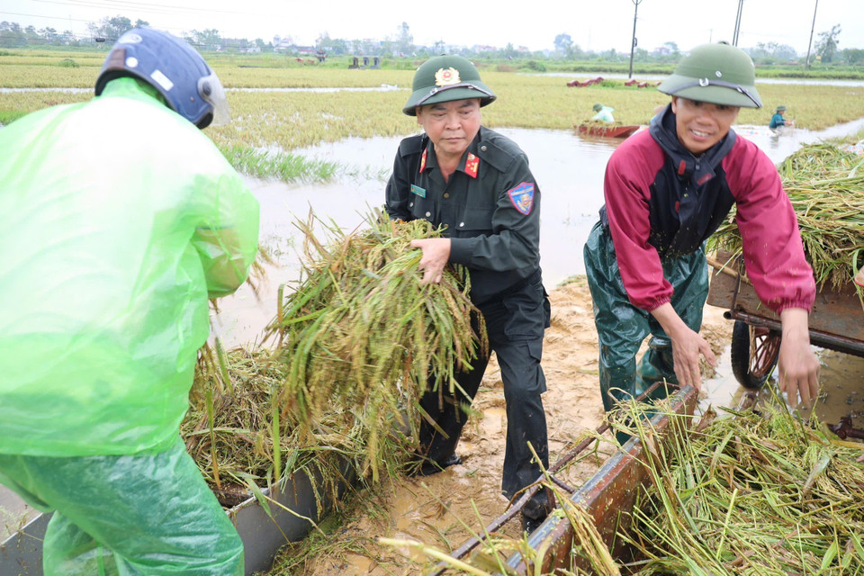 Cán bộ, chiến sỹ Cảnh sát Cơ động giúp dân thu hoạch diện tích lúa bị ngập nước. (Ảnh: TTXVN)