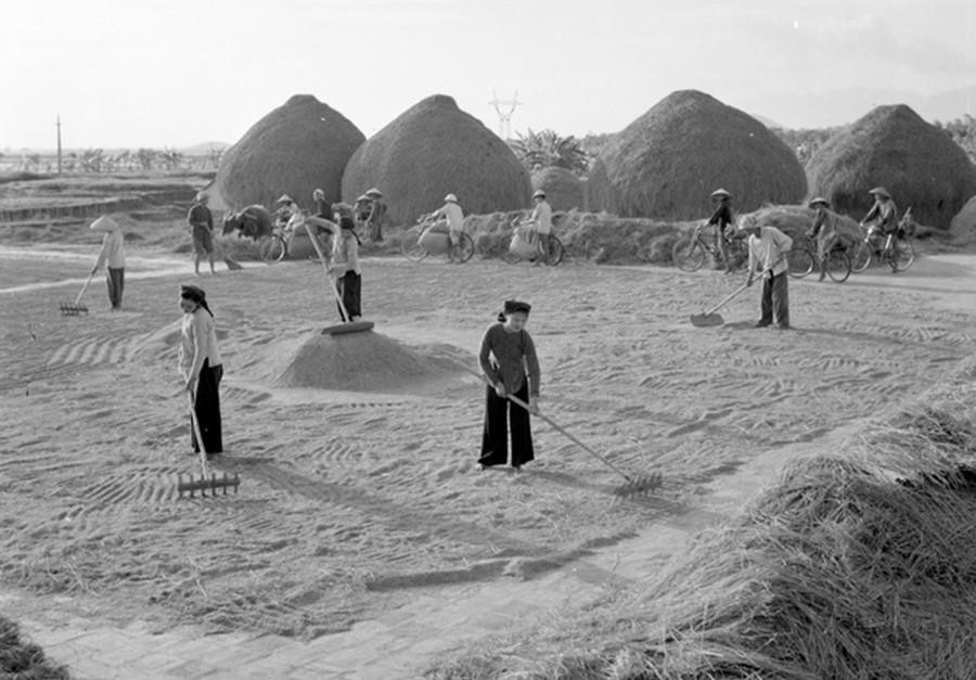 Thành công của công tác tuyên giáo giai đoạn 1965-1975 là tiếp tục đẩy mạnh các phong trào thi đua yêu nước, động viên đồng bào, chiến sĩ cả nước hăng hái lao động, sản xuất, chiến đấu. Trong ảnh: Từ 1963-1966, tỉnh Vĩnh Phúc thực hiện thí điểm khoán hộ, tiến tới thực hiện NQ 68 của Tỉnh ủy ngày 10/9/1966, đem lại năng suất lao động ngày càng cao trong nông nghiệp, là cơ sở để sau này Đảng ta ra Chỉ thị 100-CT/TW và Nghị quyết 10-NQ/TW về đổi mới quản lý kinh tế nông nghiệp. (Ảnh: Phạm Tuệ/TTXVN)