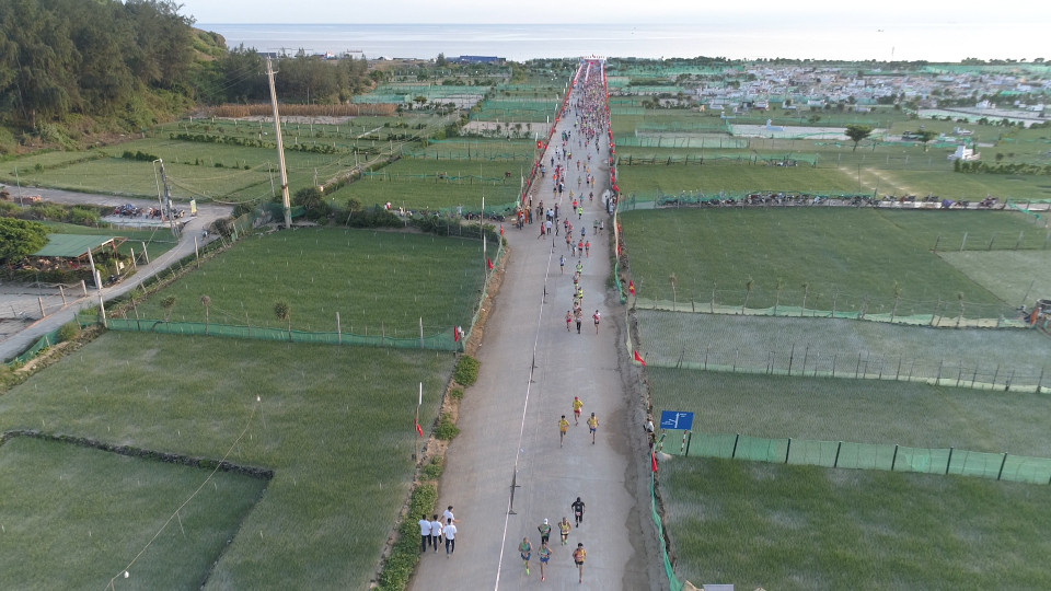 Một cung đường khác là cung đường chạy giữa 2 bên là ruộng hành, tỏi-những đặc sản nổi tiếng của Lý Sơn. (Ảnh: Lâm Phan/Vietnam+)