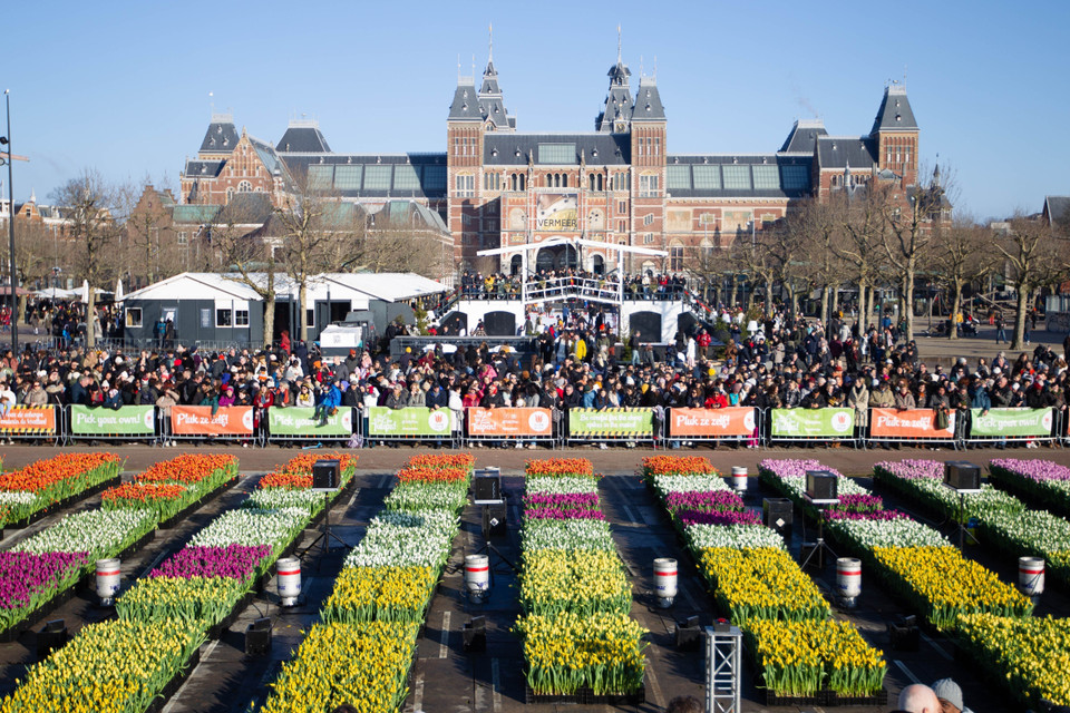 Hàng trăm nghìn bông hoa khoe sắc tại Ngày hoa Tulip quốc gia lần thứ 10 ở Quảng trường Bảo tàng thủ đô Amsterdam. (Ảnh: THX/TTXVN) 