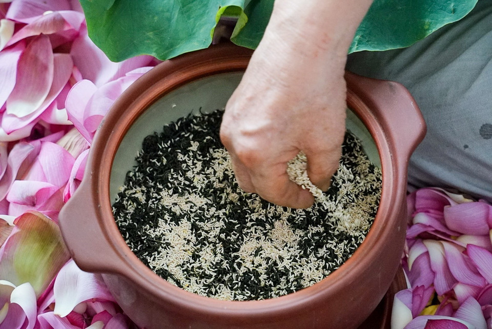 Công đoạn ướp trà sen Hồ Tây cũng khá cầu kỳ, phức tạp, cứ một lượt trà lại rải một lượt gạo sen lên, 2 lạng sen thì đủ để rải đều lên 1kg trà. Ủ 2-3 ngày lại bỏ ra, sấy khô trà, sàng bỏ gạo sen rồi tiếp tục rải lượt gạo sen mới, điều đặc biệt là sấy bằng hơi nước. Để ra một cân chè ướp sen thì phải qua 5-7 lần vào hương như thế thì trà sen mới lên hương, như vậy để cho ra thành phẩm cần 15-21 ngày. (Ảnh: Khánh Hòa/TTXVN)