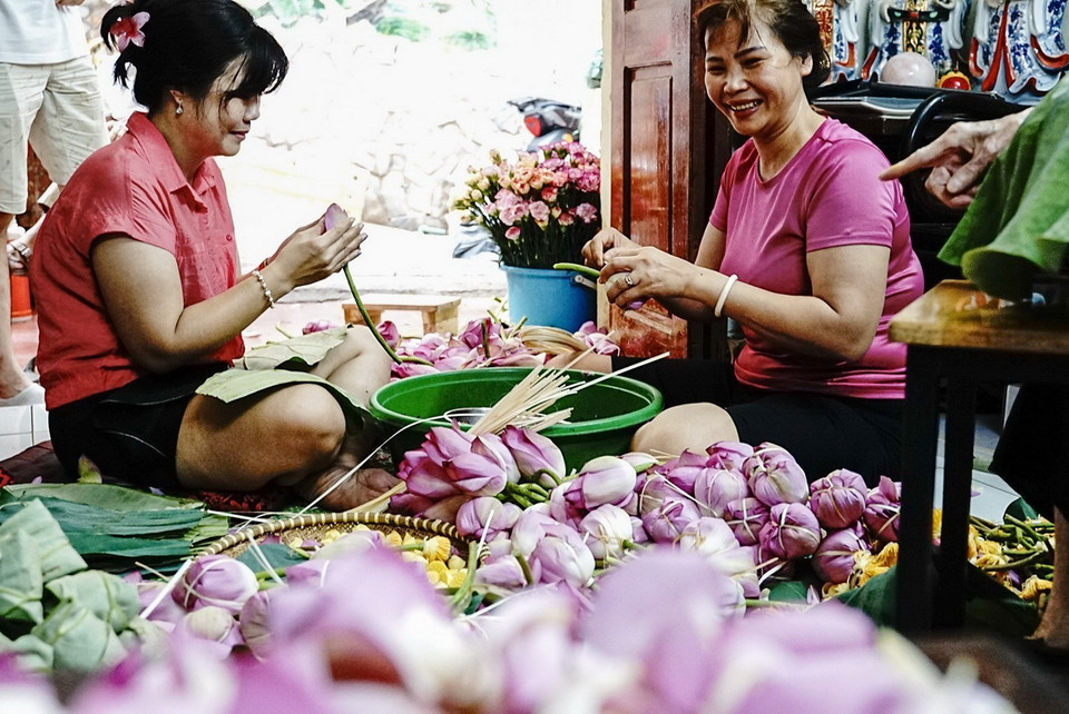 Các công đoạn của việc ướp trà sen được các thành viên trong gia đình chia nhau thực hiện một các tỉ mỉ và nhanh chóng, để có thể kết thúc vào khoảng thời gian trước 10 giờ sáng đảm bảo hương ướp trà là tốt nhất. (Ảnh: Khánh Hòa/TTXVN)