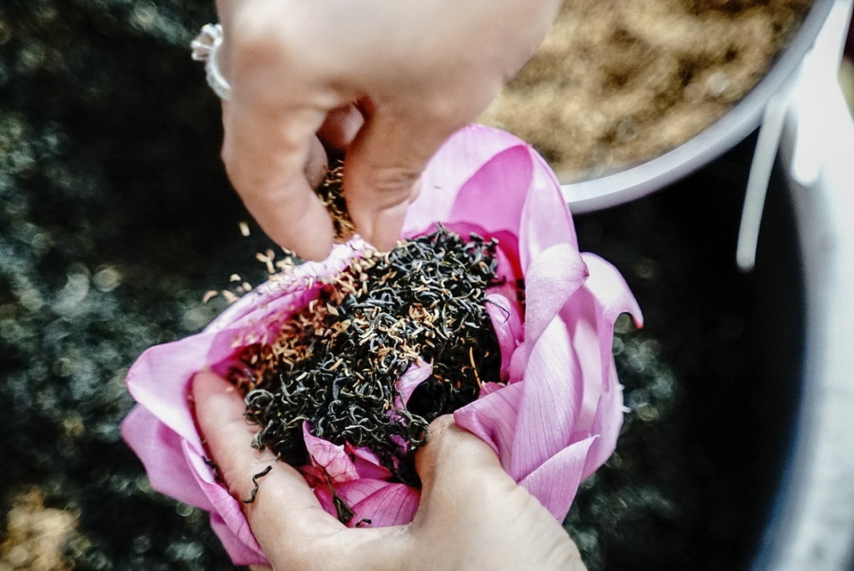 Trà sen ướp xổi được thực hiện bằng cách tách từng cánh sen rồi đổ trà vào giữa, sau rắc thêm 1 ít gạo sen phía trên rồi dùng lạt buộc lại. (Ảnh: Khánh Hòa/TTXVN)