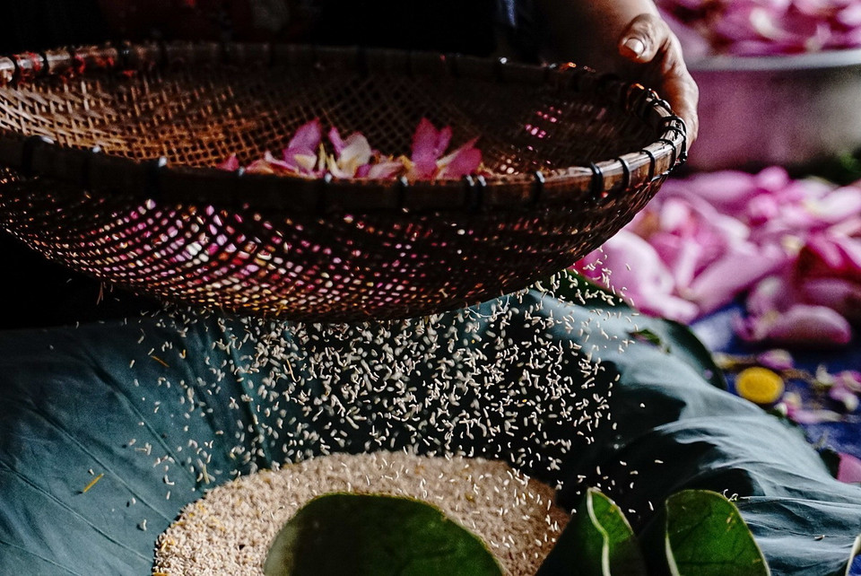 Mỗi lạng gạo sen phải cần 100-120 bông sen. (Ảnh: Khánh Hòa/TTXVN)
