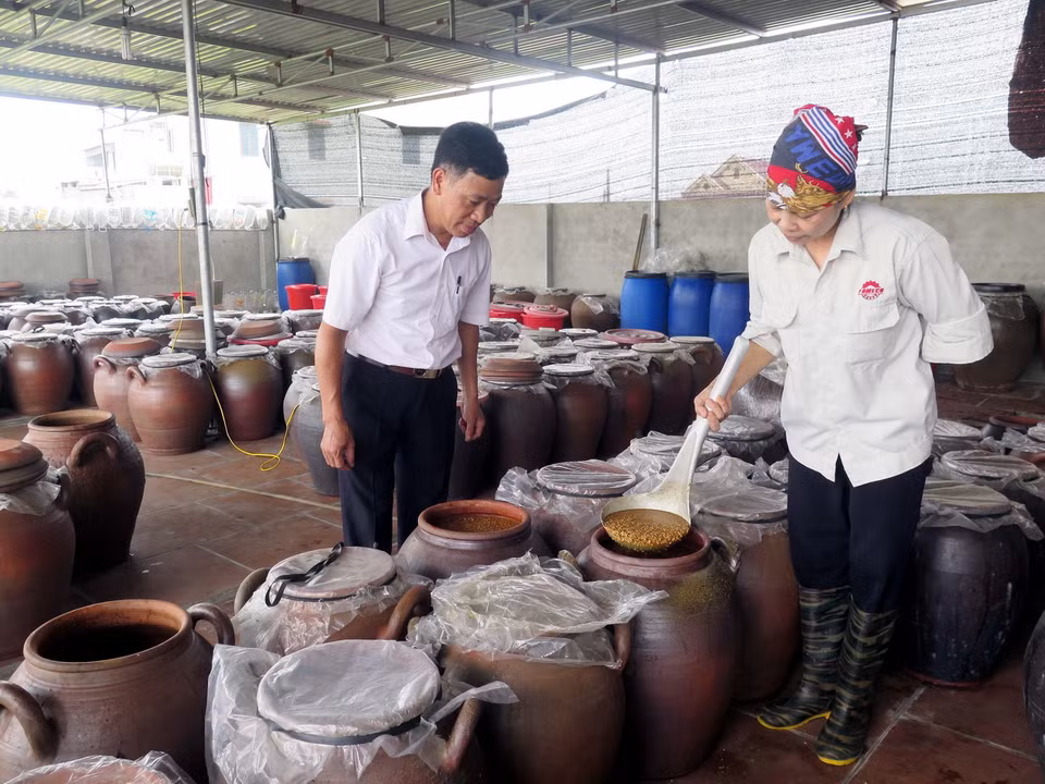 Tương được làm theo đúng công thức có màu vàng sậm sóng sánh, nhuyễn đặc như mật, đậm mùi thơm của nếp và đỗ tương, khi ăn để lại hậu vị ngọt. (Ảnh: Quân Trang/TTXVN)