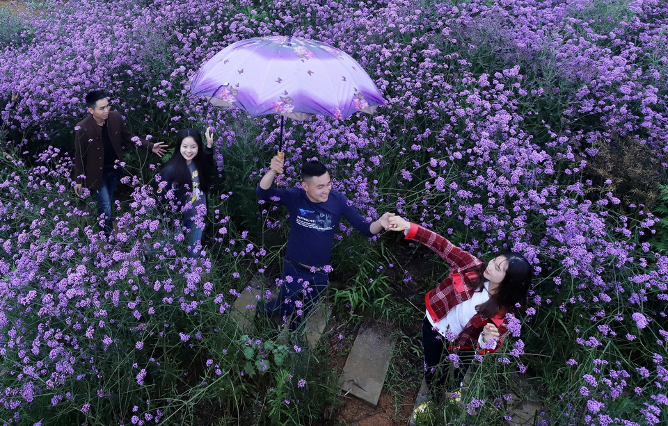 (Ảnh: Quốc Khánh/TTXVN)