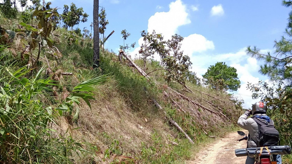 (Ảnh: Đặng Tuấn/TTXVN)