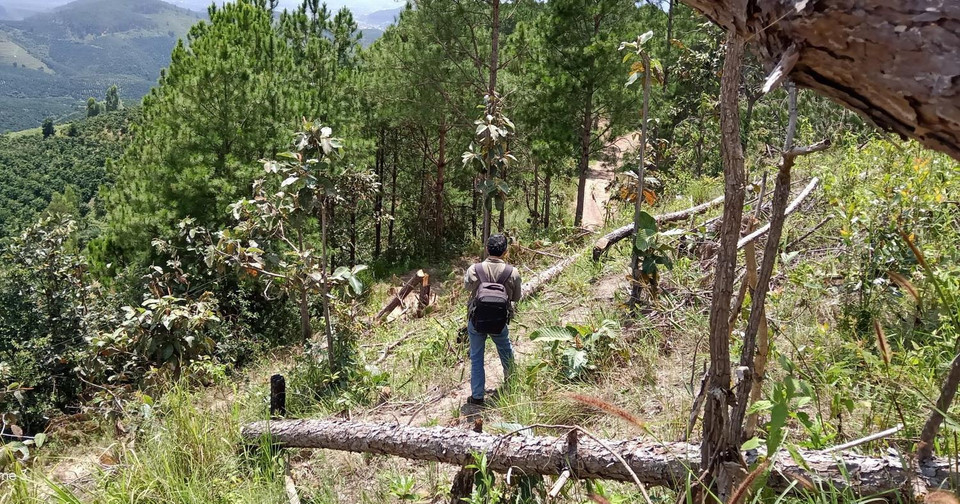 (Ảnh: Đặng Tuấn/TTXVN)