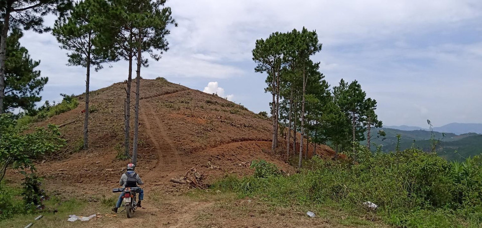 (Ảnh: Đặng Tuấn/TTXVN)