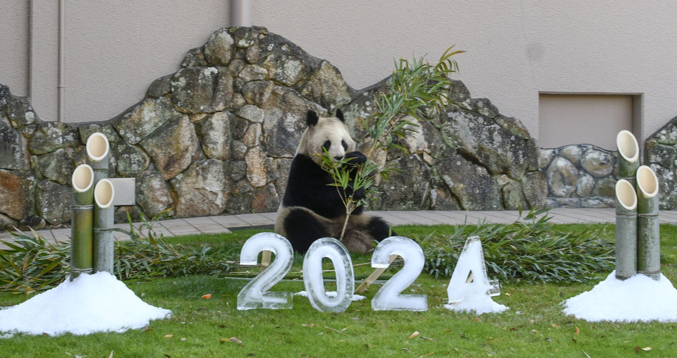 Trang trí chào đón Năm mới 2024 tại công viên giải trí ở Wakayama, Nhật Bản. (Ảnh: Kyodo/TTXVN)