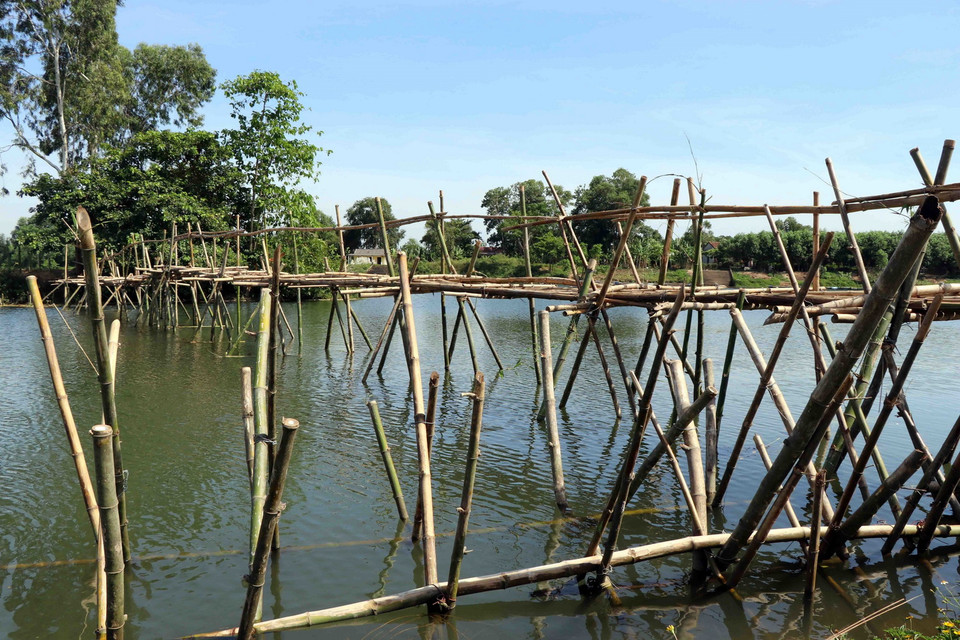  Người dân làm cây cầu tre bắc qua một nhánh sông Bồ nối từ cánh đồng sản xuất sang khu vực Cồn Nổi đã phát huy hiệu quả trong việc ngăn chặn các tàu hút cát trộm ở khu vực này. (Ảnh: Đỗ Trưởng/TTXVN)