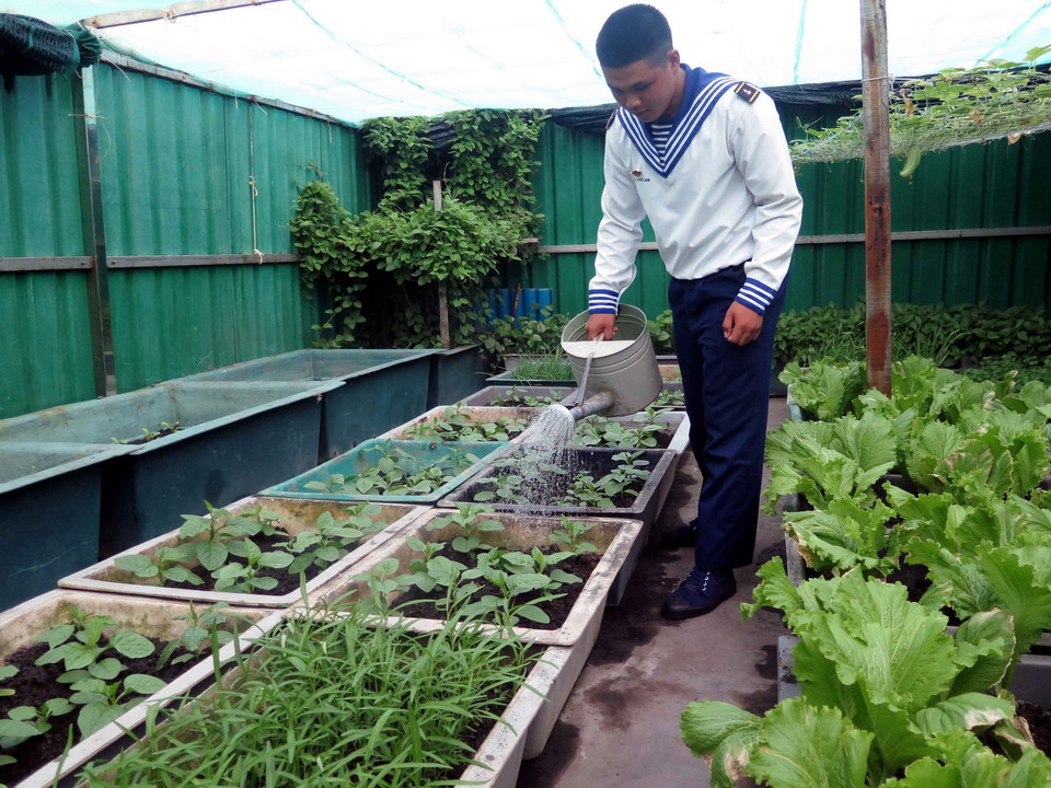  Chiến sỹ chăm sóc vườn rau tại đảo Đá Lớn B. (Ảnh: Quân Trang/TTXVN)