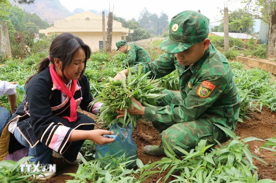 Đồn biên phòng Huổi Luông, Bộ đội biên phòng Lai Châu, triển mô hình “Vườn rau sạch cho bé," góp phần cải thiện bữa ăn cho học sinh biên giới, tăng thêm tình đoàn kết quân dân, góp phần giáo dục lối sống trách nhiệm, sẻ chia cho cán bộ, chiến sỹ trong đơn vị. (Ảnh: Nguyễn Oanh/TTXVN)