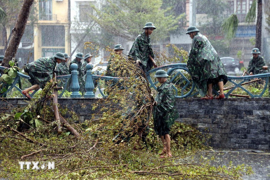 Các chiến sỹ Trung đoàn Bộ binh 43, Sư đoàn 395, Quân khu 3, đội mưa hỗ trợ người dân thu dọn cây xanh gãy đổ dọc tuyến Quốc lộ 18A qua địa phận thành phố Hạ Long, tỉnh Quảng Ninh, ngày 9/9 vừa qua. (Ảnh: Đức Hiếu/TTXVN)