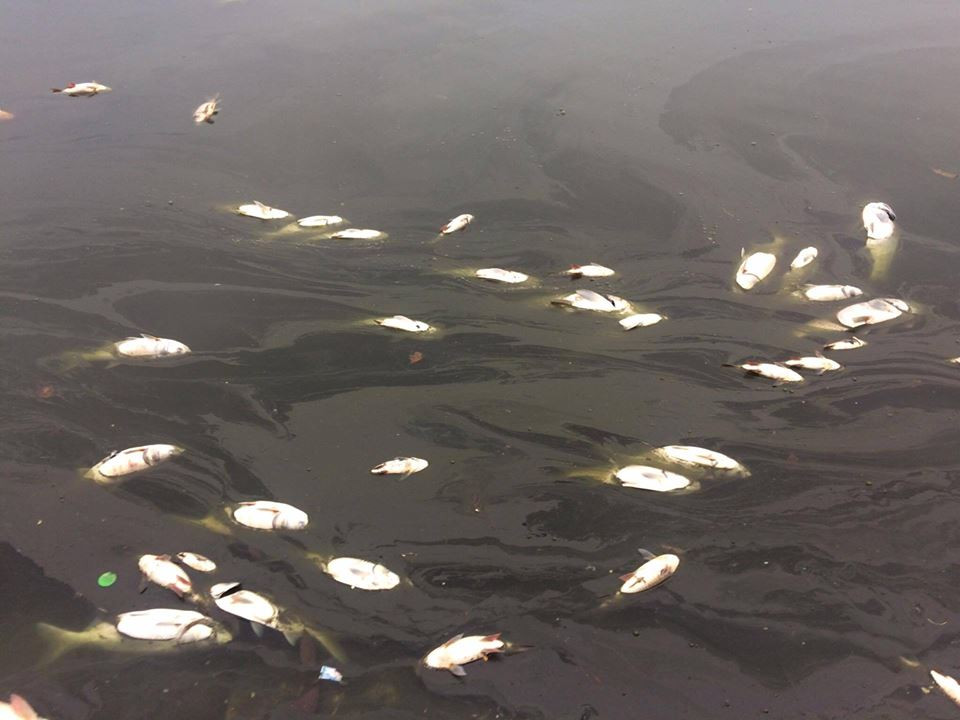 (Ảnh: Minh Sơn/Vietnam+)