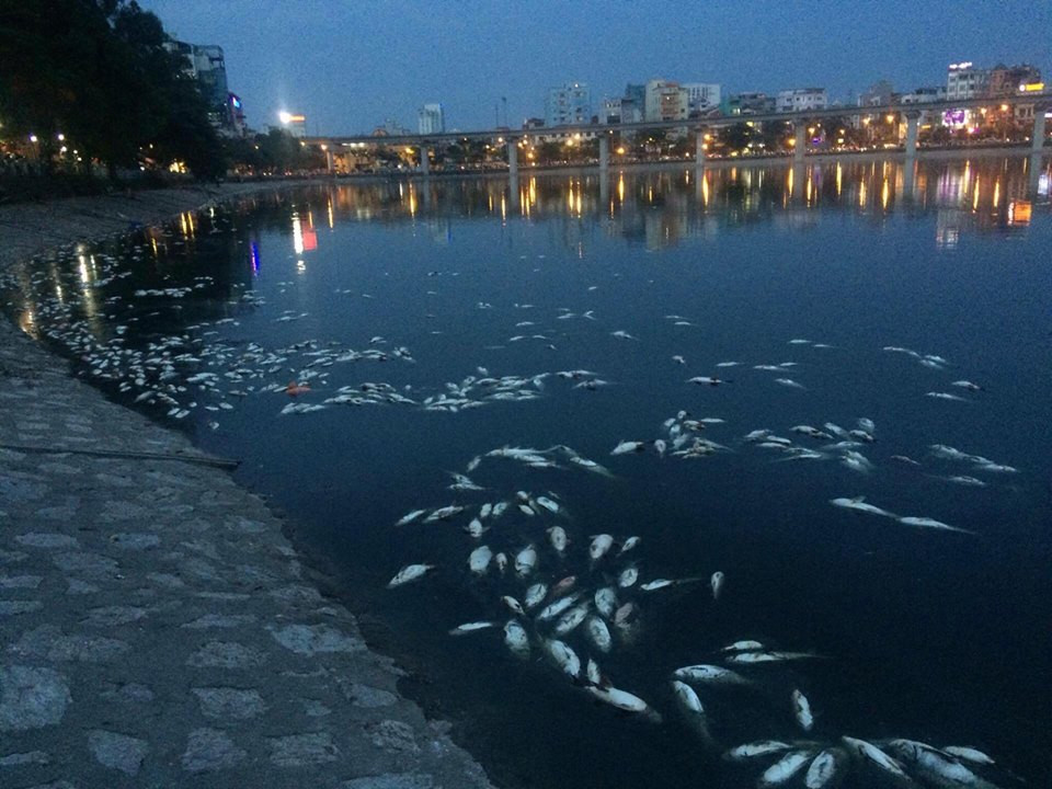 (Ảnh: Minh Sơn/Vietnam+)