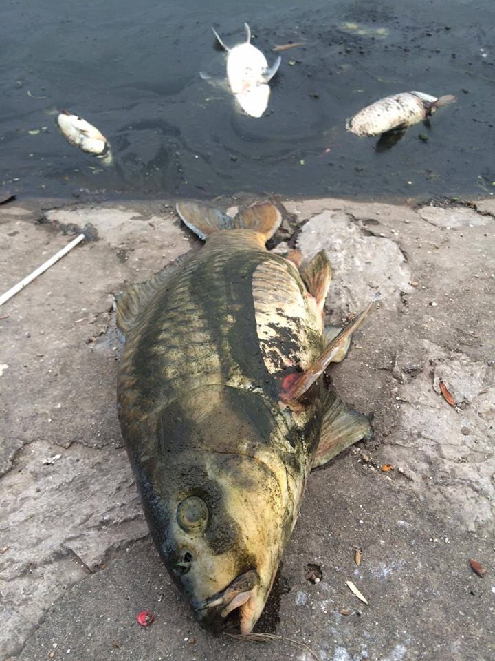 (Ảnh: Minh Sơn/Vietnam+)