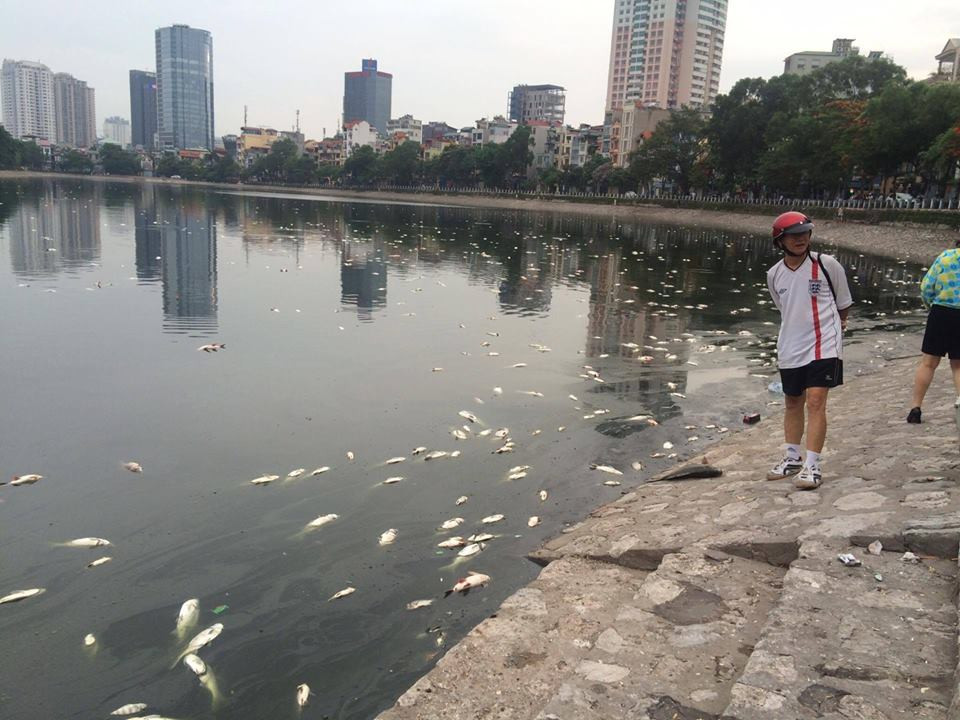 (Ảnh: Minh Sơn/Vietnam+)