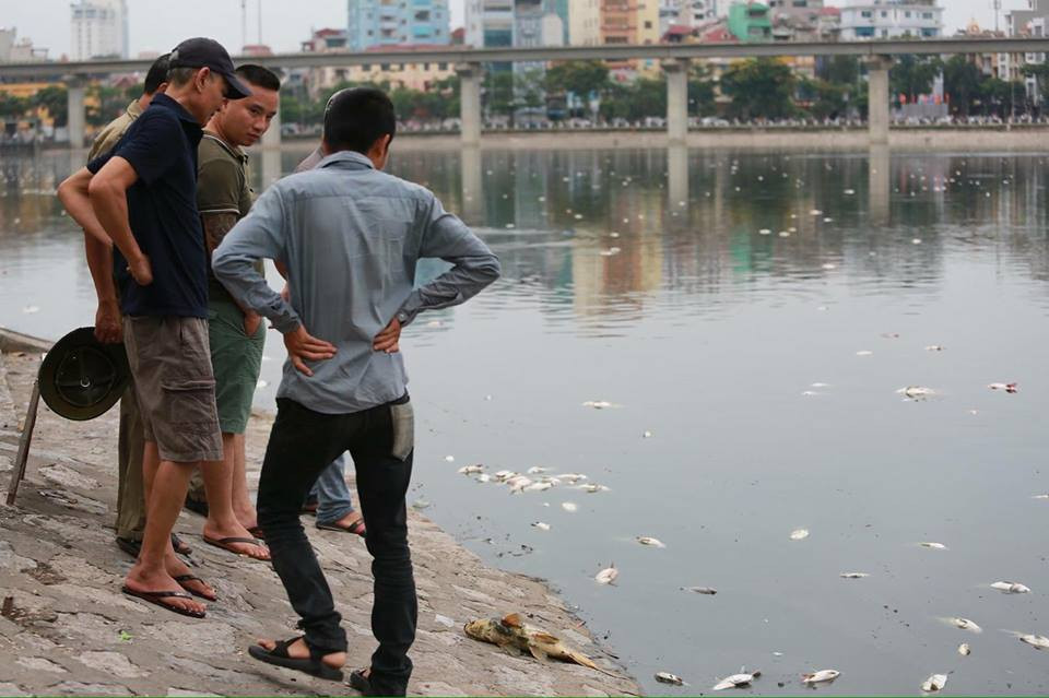 (Ảnh: Minh Sơn/Vietnam+)