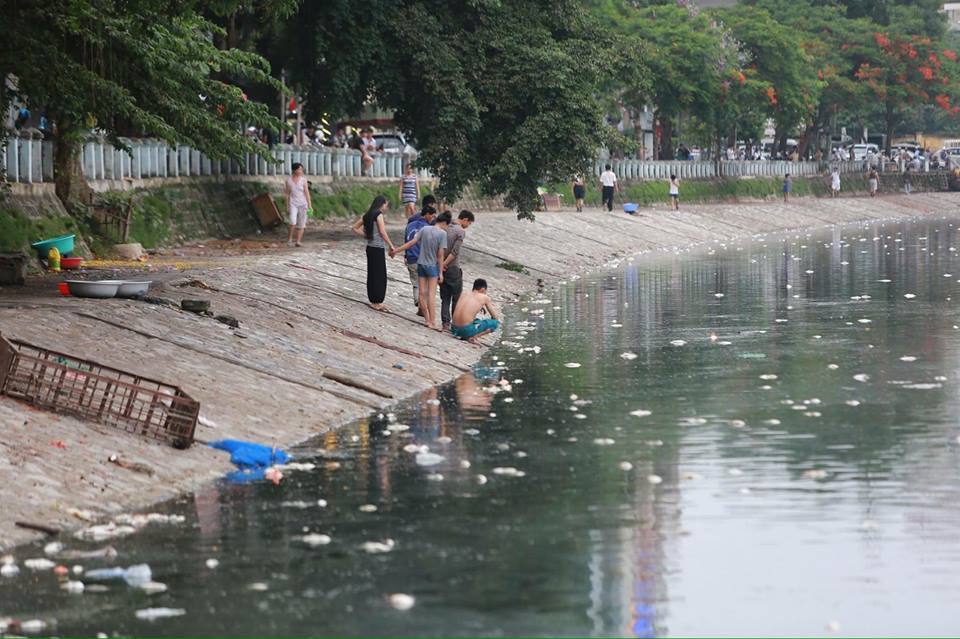 (Ảnh: Minh Sơn/Vietnam+)