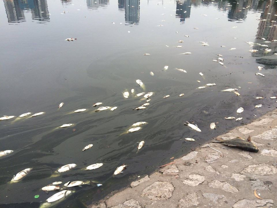 (Ảnh: Minh Sơn/Vietnam+)