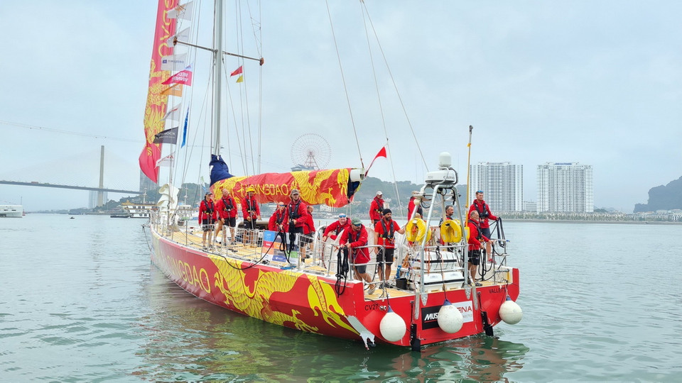 Cuộc đua Thuyền buồm vòng quanh thế giới mùa giải 2023-2024 với gần 400 thủy thủ trên 11 thuyền buồm được chia làm 8 chặng với 16 cuộc đua riêng lẻ và 6 lần vượt đại dương. Trong ảnh: Đội thuyền Qingdao cập cảng tàu khách quốc tế Hạ Long đầu tiên lúc 13 giờ 20 phút. (Ảnh: TTXVN phát)