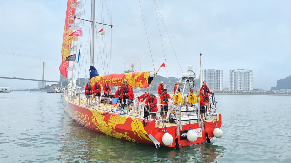 Cuộc đua Thuyền buồm vòng quanh thế giới mùa giải 2023-2024 với gần 400 thủy thủ trên 11 thuyền buồm được chia làm 8 chặng với 16 cuộc đua riêng lẻ và 6 lần vượt đại dương. Trong ảnh: Đội thuyền Qingdao cập cảng tàu khách quốc tế Hạ Long đầu tiên lúc 13 giờ 20 phút. (Ảnh: TTXVN phát)