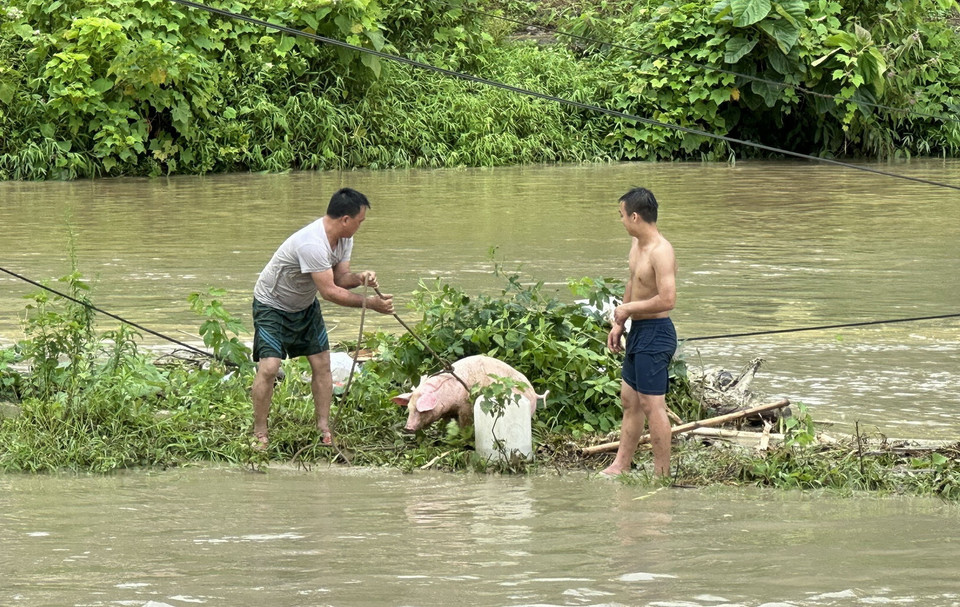 Người dân di dời tài sản. (Ảnh: Quốc Khánh/TTXVN)
