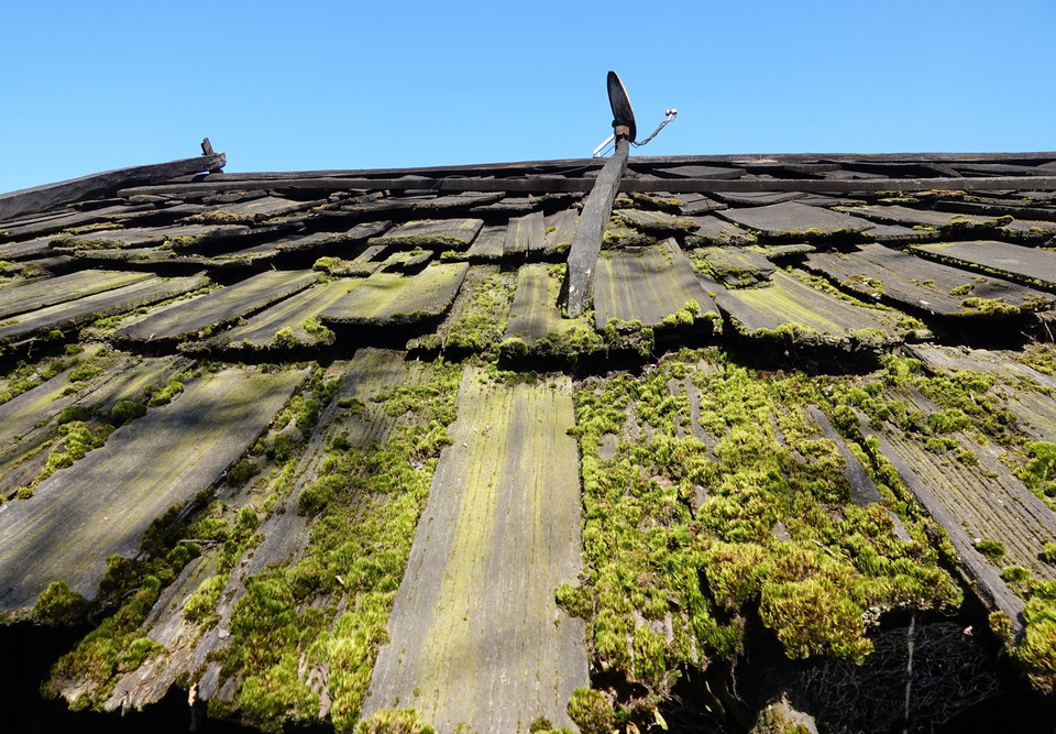 Gỗ samu, pơmu vừa giúp họ vượt qua được cái lạnh mùa đông và mát mẻ vào mùa Hè nóng nực, đồng thời vừa sử dụng được hàng chục năm. (Ảnh: Tuấn Anh/TTXVN)