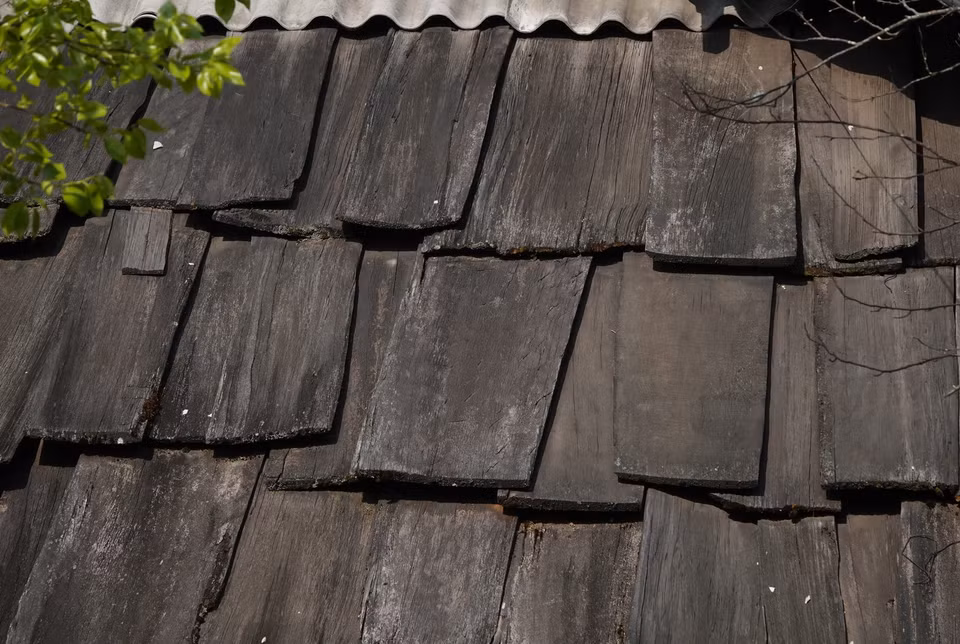 Mỗi tấm gỗ lợp mái thường có chiều dài 1,1m, rộng từ 20-50cm và có độ dày khoảng 2-4cm. (Ảnh: Tuấn Anh/TTXVN)
