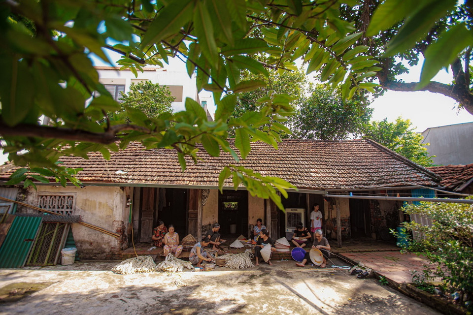 Người dân làng Chuông thường tụ thành nhóm dưới bóng cây xanh mát để tỉ mỉ gia công từng chiếc nón, biểu tượng văn hóa lâu đời và niềm tự hào của làng nghề thủ công nổi tiếng này. (Ảnh: Phạm Tuấn Anh/TTXVN)