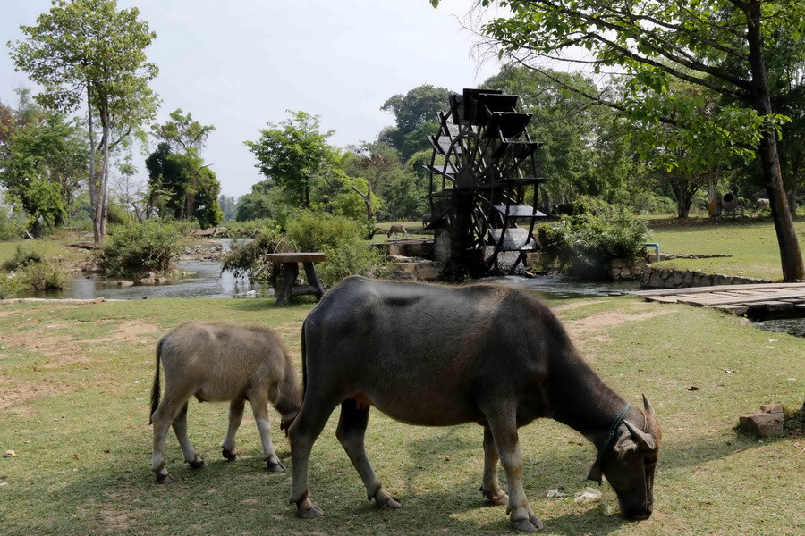 Phong ảnh yên bình trong khu thác đem lại cho du khách cảm giác rất thoải mái. (Ảnh: Phạm Kiên/Vietnam+)