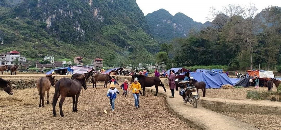 Nhân dân xã Đàm Thủy dựng lều lán ngủ tạm ngoài đồng. (Ảnh: TTXVN phát)