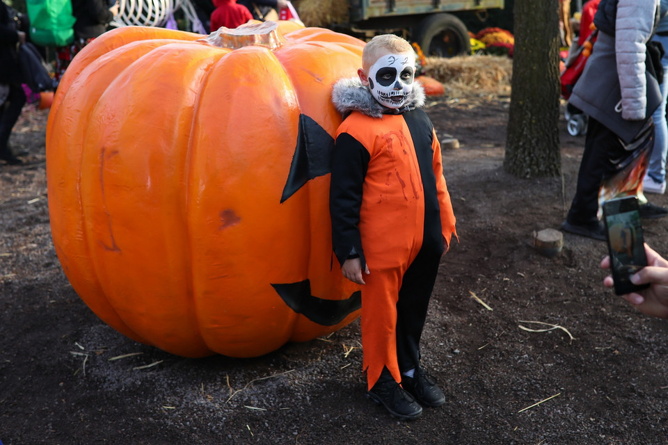 Trẻ em chụp ảnh với bí ngô Halloween tại vườn thú Pairi Daiza ở Brugelette, Bỉ, ngày 31/10. (Ảnh: THX/TTXVN)