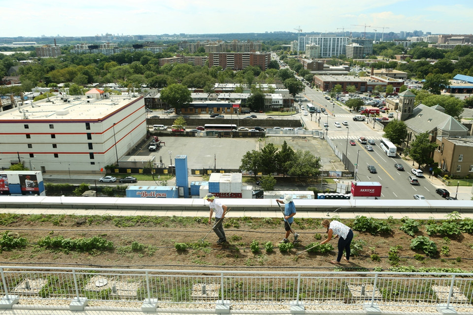 Mô hình nông trại trên cao ốc của Up Top Acres tại thủ đô Washington D.C có thể là lựa chọn đầy khả thi cho nhiều công ty kinh doanh bất động sản bởi tính hiệu quả cao. (Ảnh: Trần Long/Vietnam+)