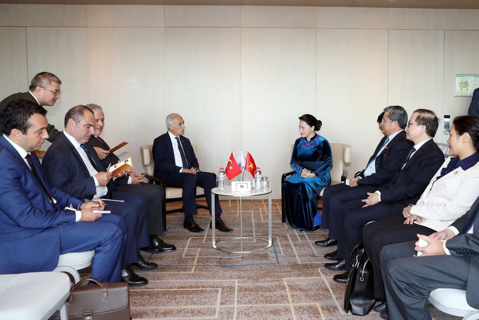 Chủ tịch Quốc hội Nguyễn Thị Kim Ngân tiếp ông Nail Olpak, Chủ tịch Hội đồng Kinh tế đối ngoại Thổ Nhĩ Kỳ (DEIK). (Ảnh: Trọng Đức/TTXVN)