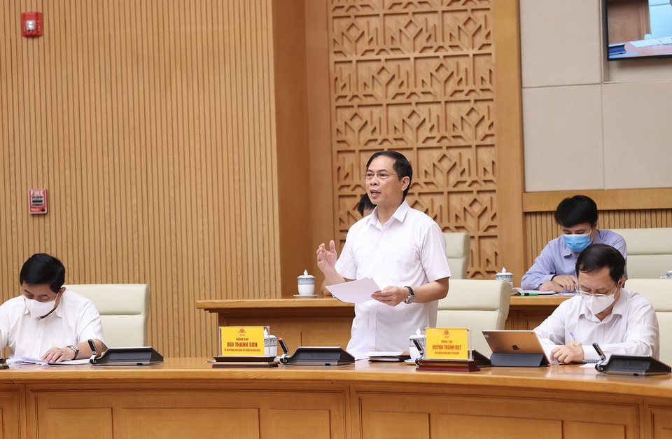  Bộ trưởng Bộ Ngoại giao Bùi Thanh Sơn báo cáo về tình hình dịch COVID-19 trên thế giới và khu vực. (Ảnh: Dương Giang/TTXVN)