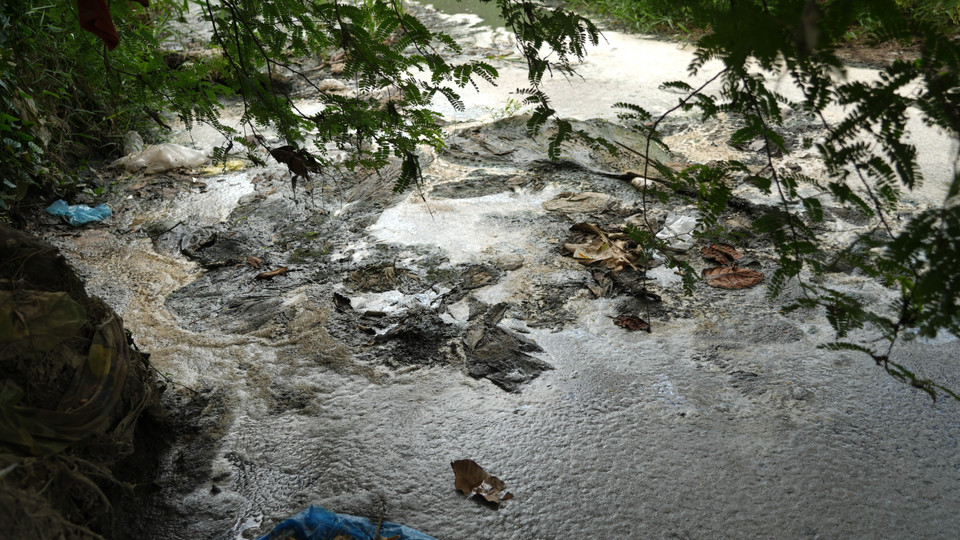 Suối Bà Sự trên địa bàn ấp Hòa Bình, xã Hòa Hiệp, huyện Tân Biên, xuất hiện lớp màng dày, màu trắng đục, bốc mùi hôi thối. (Ảnh: Minh Phú/TTXVN)