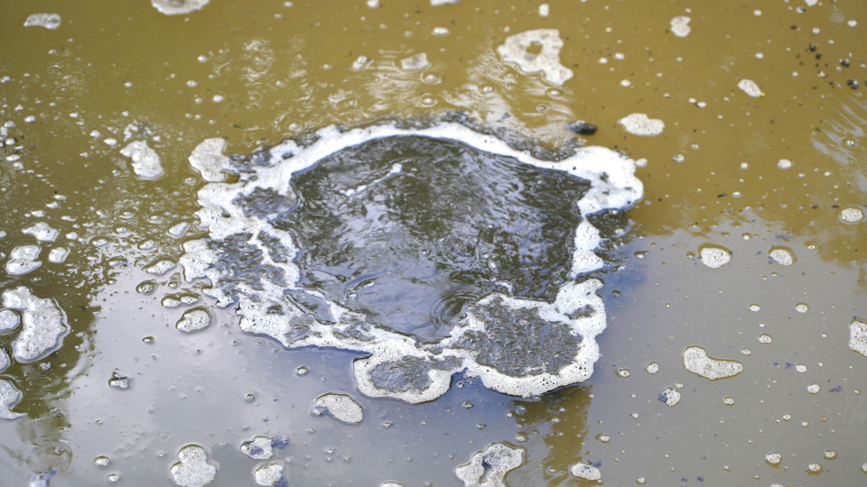 Nguồn nước trên suối Bà Sự xảy ra hiện tượng yếm khí, sủi bọt, bốc mùi hôi thối. (Ảnh: Minh Phú/TTXVN)