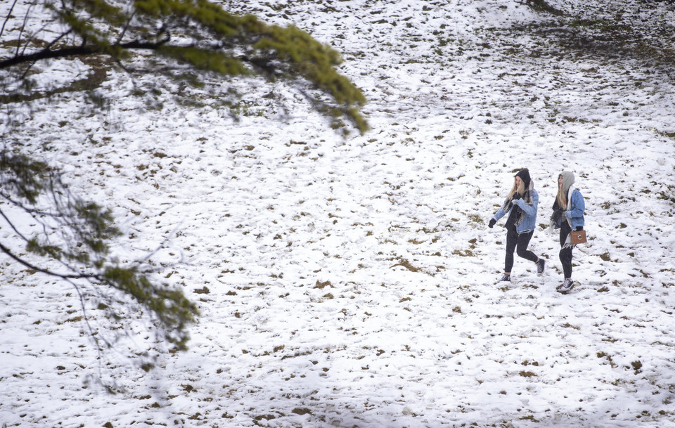 Tuyết rơi tại vùng núi Blue, phía Tây thành phố Sydney, Australia ngày 10/6. (Ảnh: THX/TTXVN)