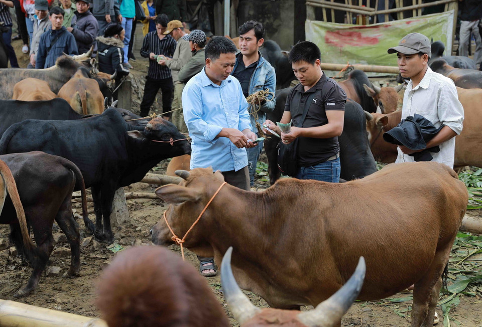 Người mua kẻ bán đàm phán giá công khai tại phiên chợ. (Ảnh: Vũ Sinh/TTXVN)